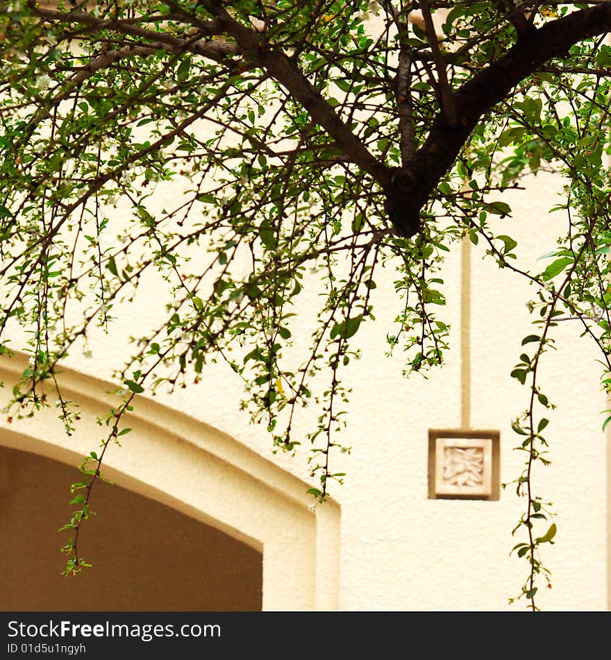 Wall Next To The Tree