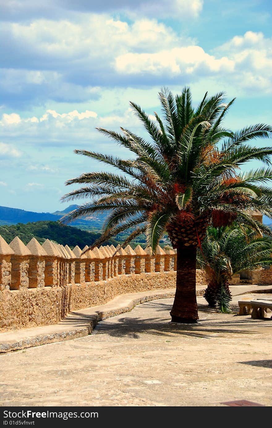 A palm tree on an old castle in mallorca spain