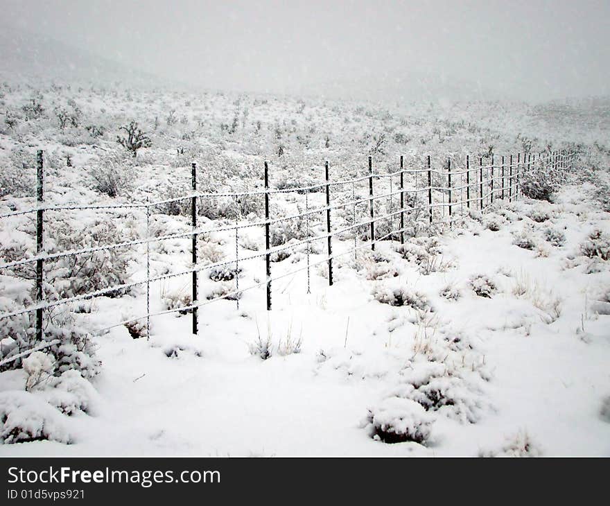 Desert Snowfall