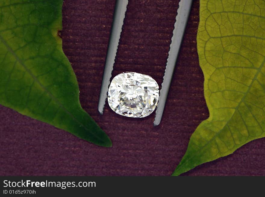 Closeup of a one carat cushion cut diamond with green leaves on purple background