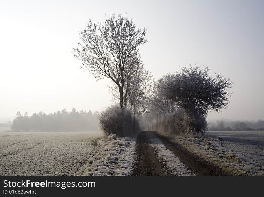 A rough bridleway cuts between winter hedgerows. A rough bridleway cuts between winter hedgerows.