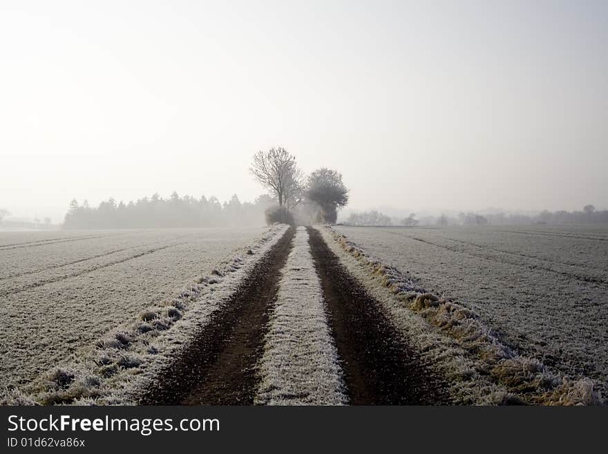 Winter Track