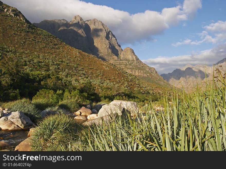 Cape mountains with stream and reeds