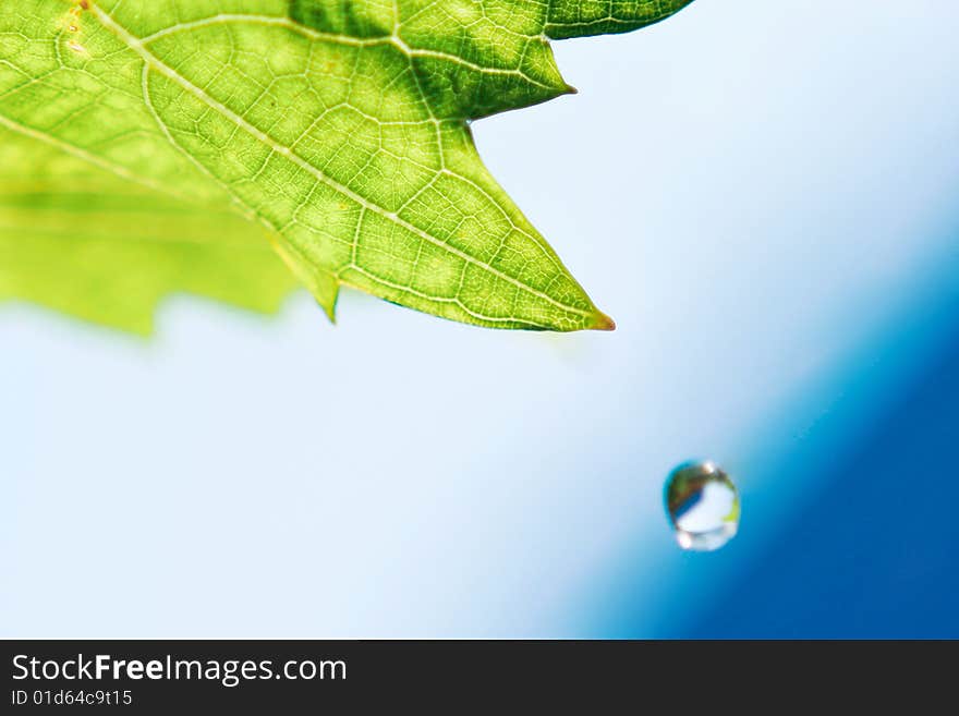 Hot summer day a sun and a little water drop. Hot summer day a sun and a little water drop