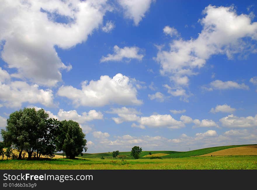 The field and blue sky. The field and blue sky