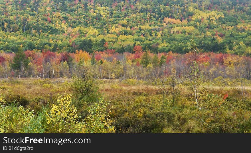 autumn hill, colors. trees and path.  autumn hill, colors. trees and path