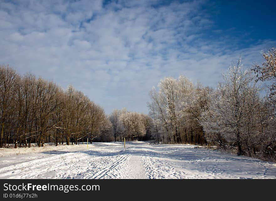 Winter landscape