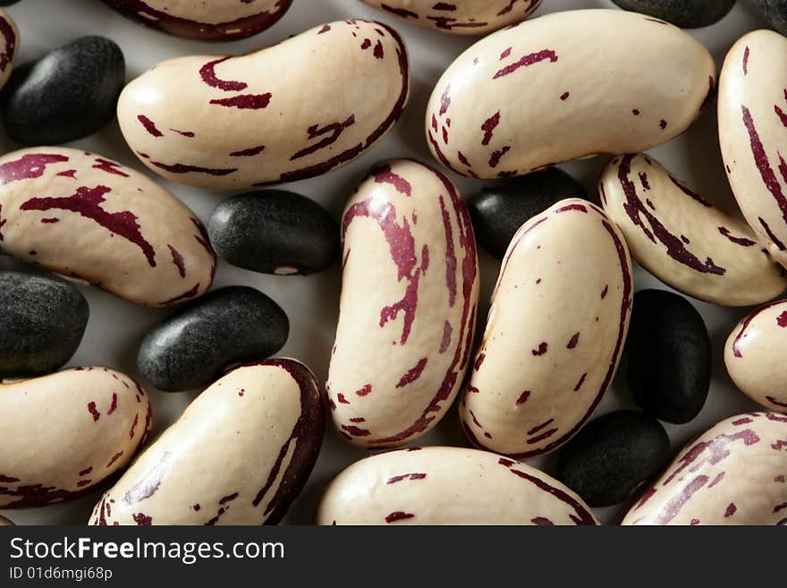 Beans macro at studio background