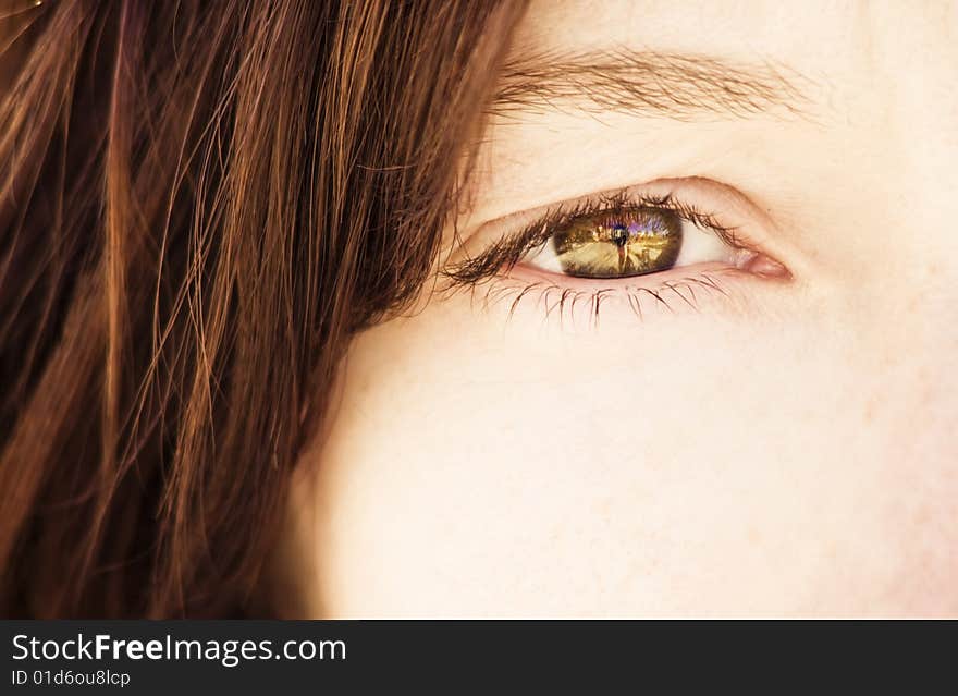 Closeup on impressive green eye. Closeup on impressive green eye.