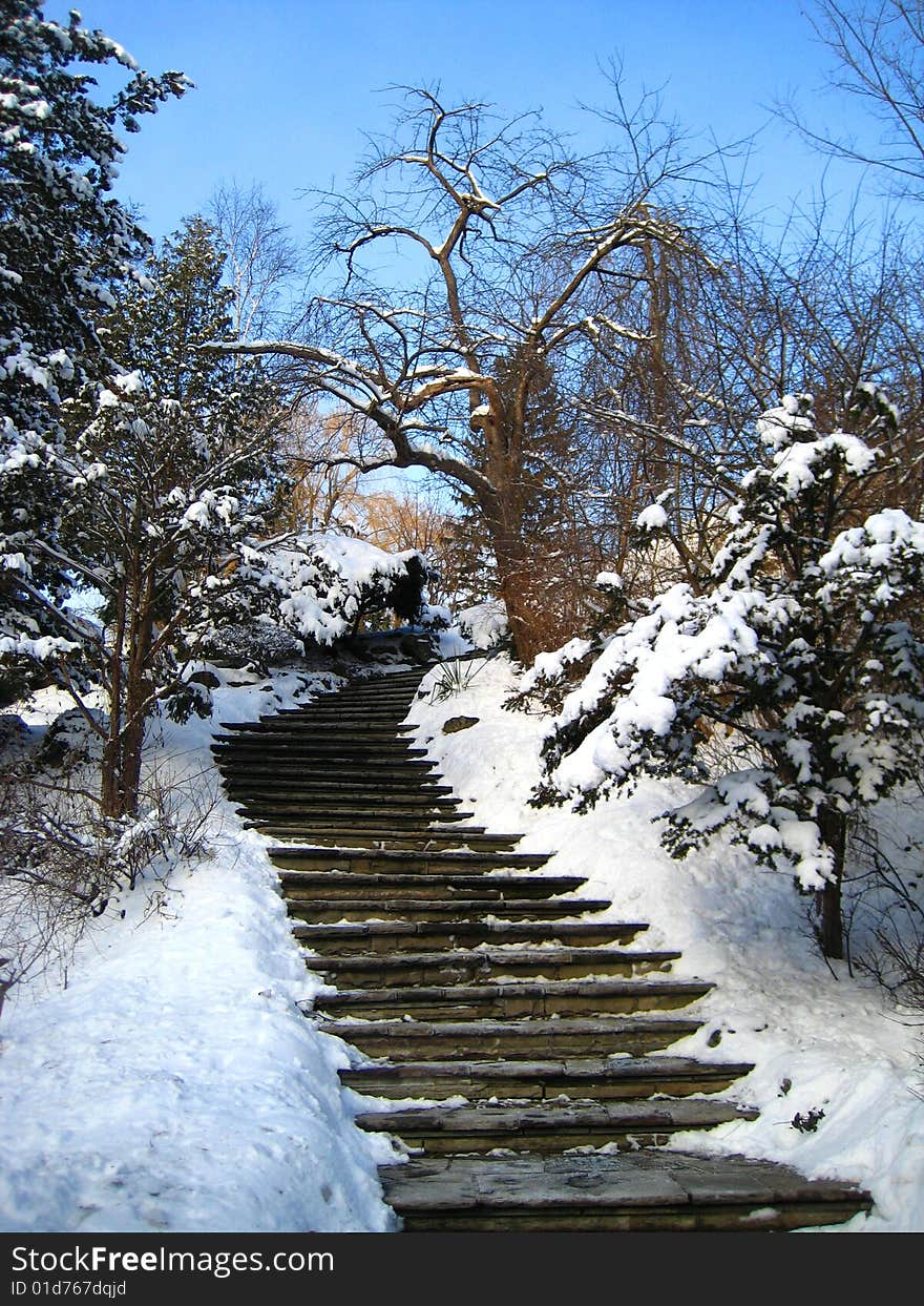 Winter Landscape, Park