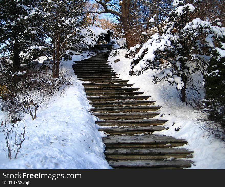 Winter Landscape, Park