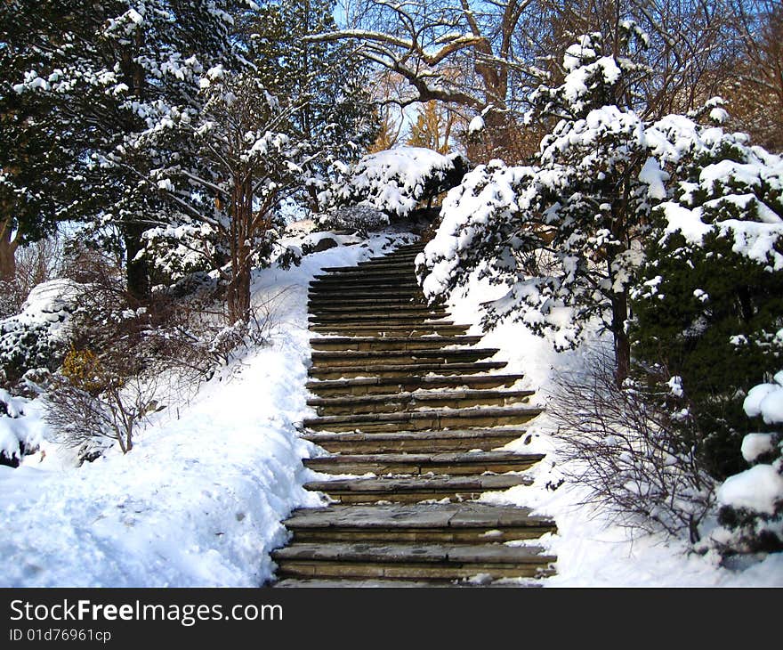 Winter Landscape, Park