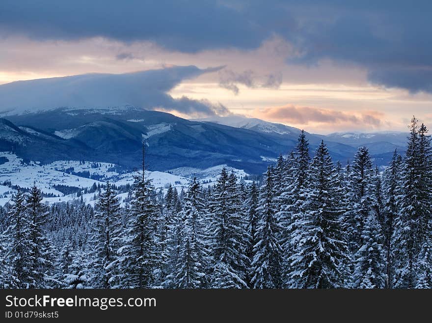 Mountains And Forest