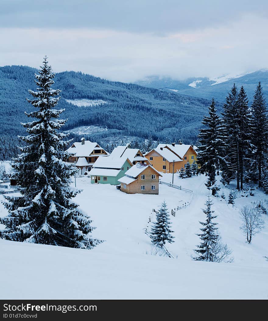 Village in forest