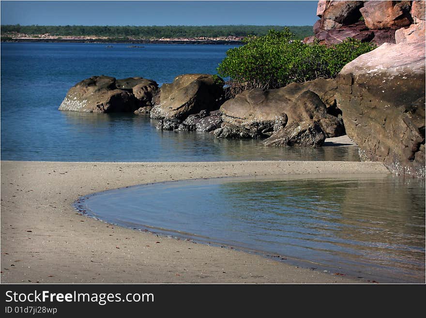 Mangroves struggle to gain a foothold on a remote Kimberley beach , Western Australia