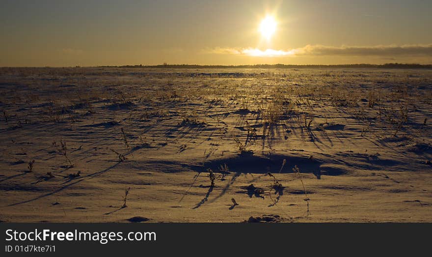 Winter rural landscape