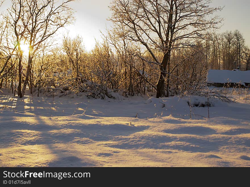 Winter rural landscape