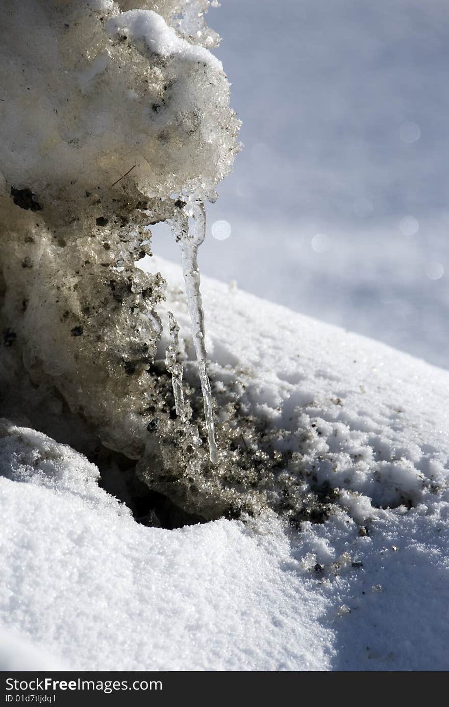 Close up of an icicle in the snow