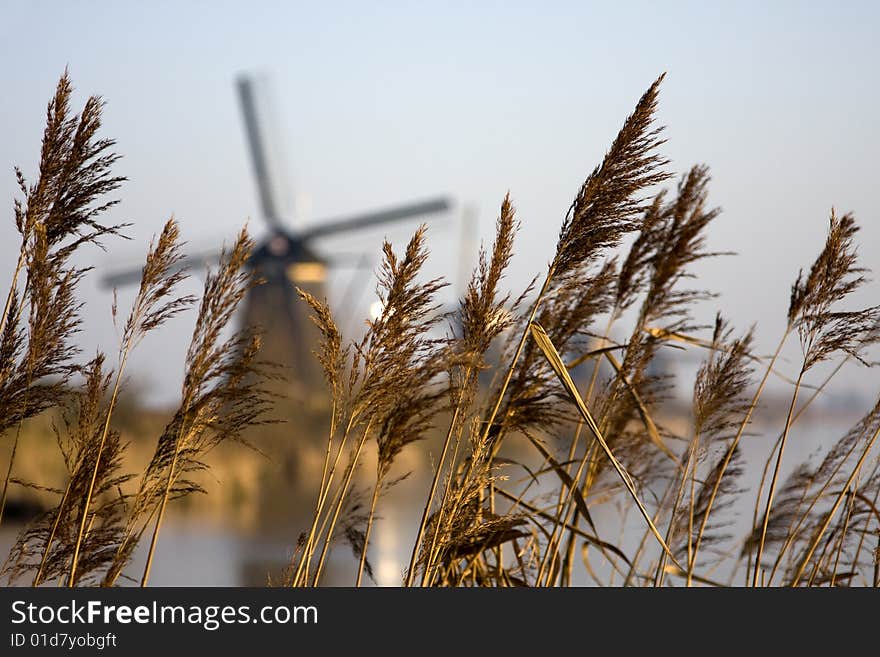 The mills of Kinderdijk, the Netherlands