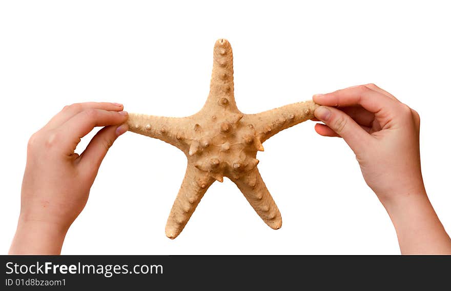 Girl's hands holding starfish isolated on white background