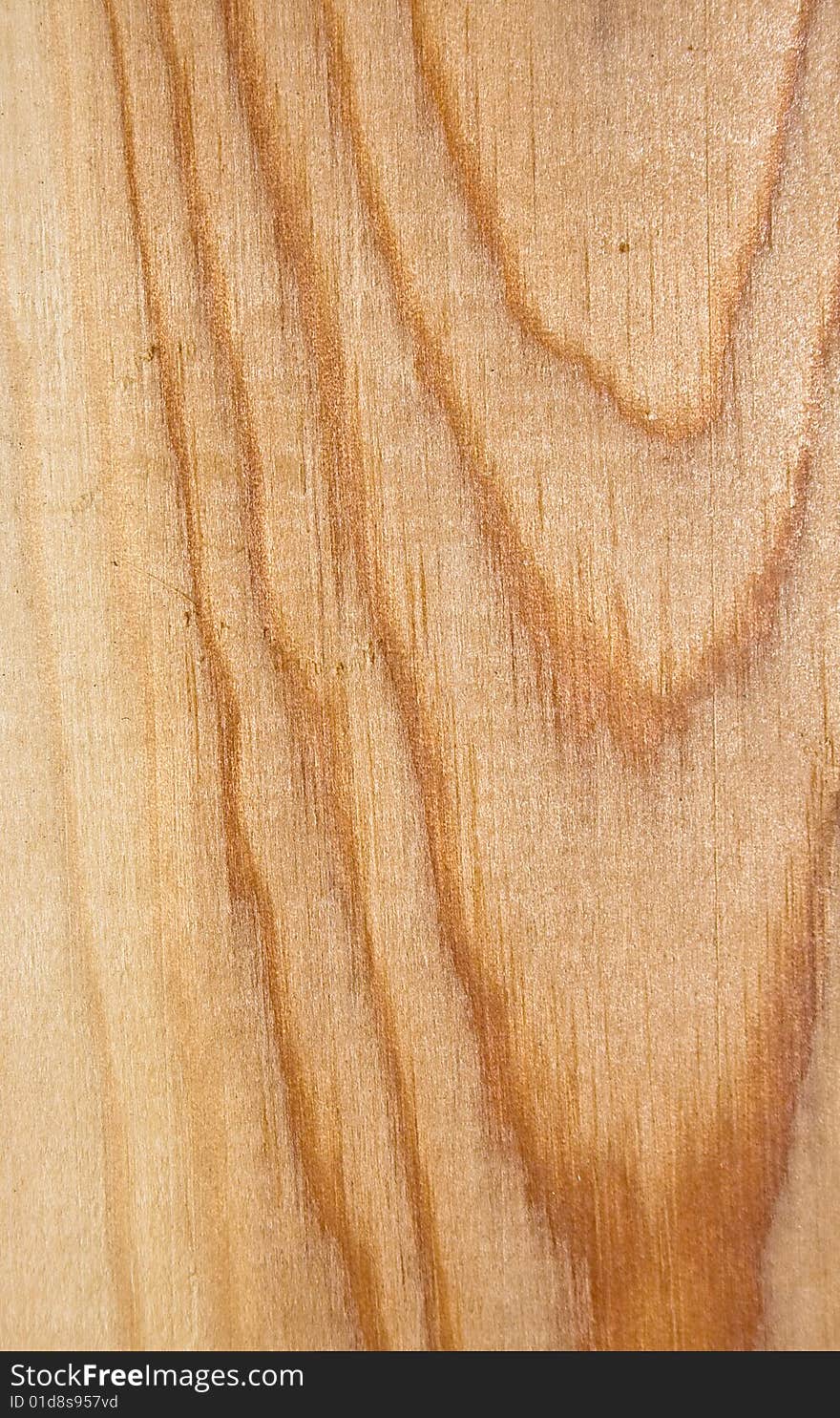 Wood Texture