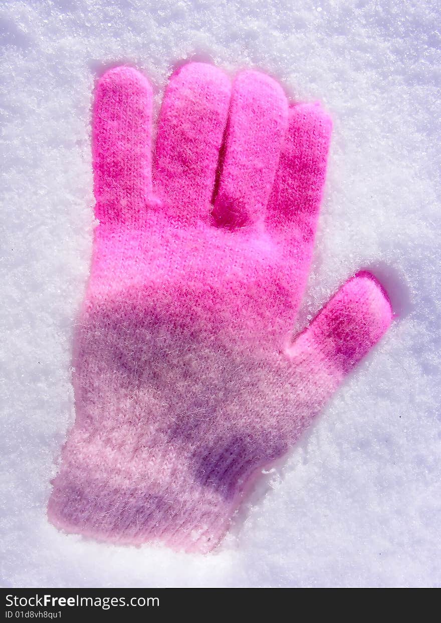 Glove In The Snow