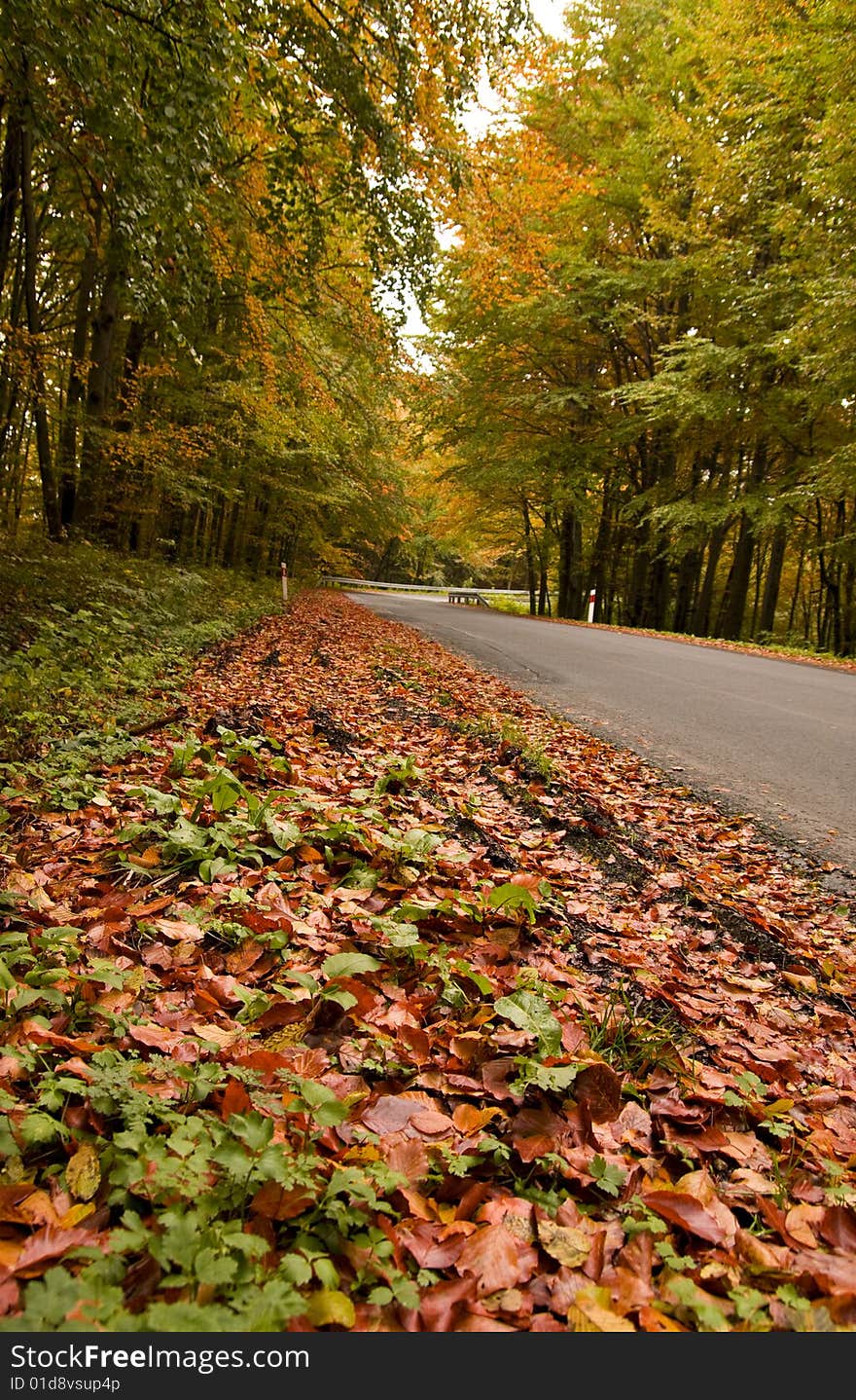 Mountain road during the fall. Mountain road during the fall