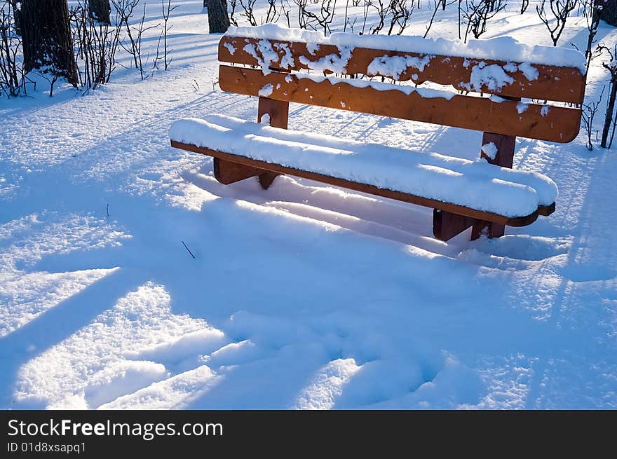 Wood bench in winter forest