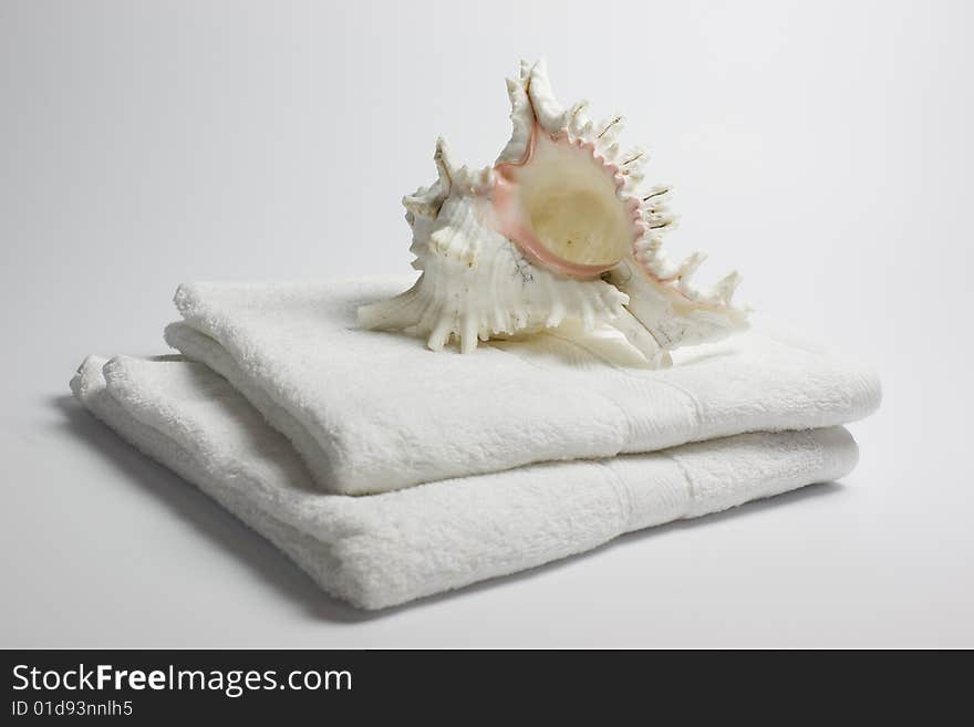 A beautiful seashell lying on two white towels, simple background - a bath theme. A beautiful seashell lying on two white towels, simple background - a bath theme.