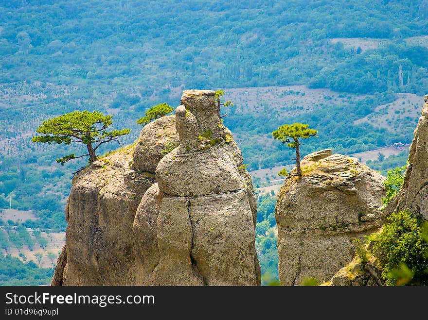 Trees on rocks. Landmark - Ghost Valley, Demerdji, Crimea, Ukraine.