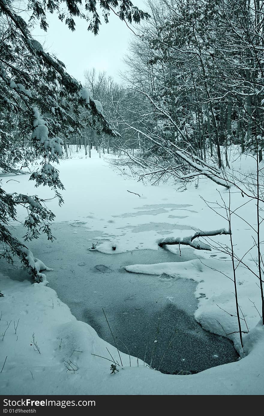 Winter scene with snow clinging to the tree branches and ice covering the pond. Given a slight blue tint for a cool effect.