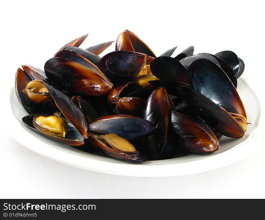 Steamed Muscles