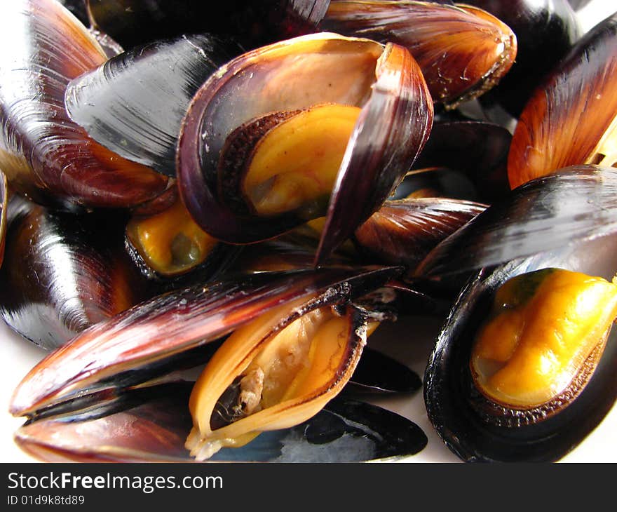 Steamed Muscles