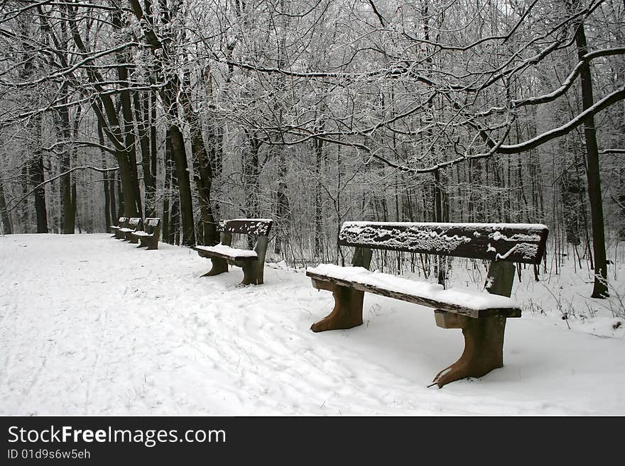 Winter scenery with benches in front covered with snow.