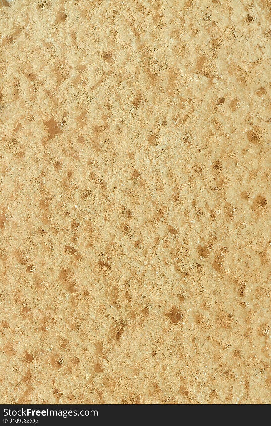 Close up of the surface of a sponge. Great texture and background image