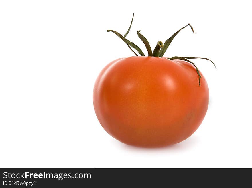 Red Tomato on white background