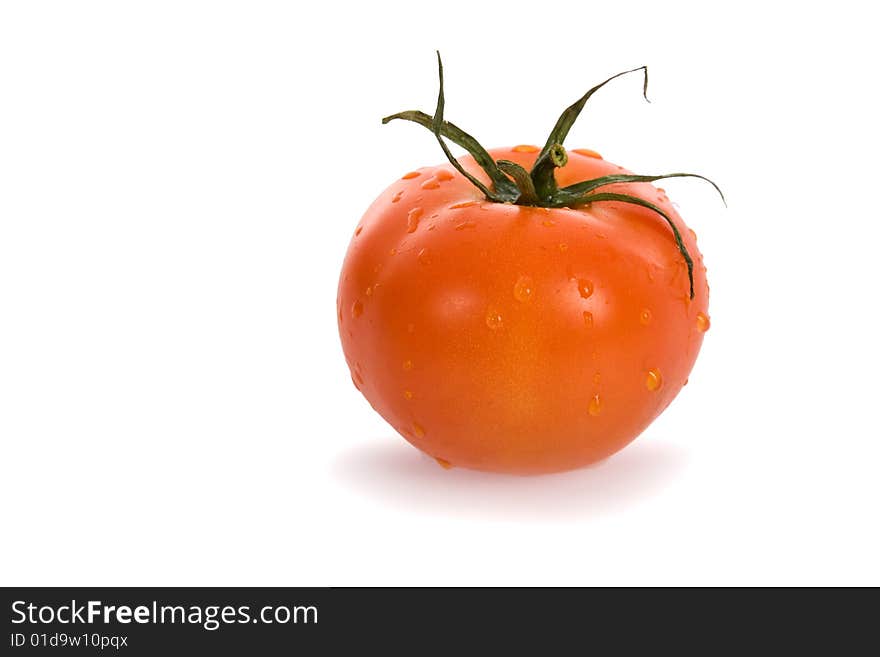 Red Tomato on white background