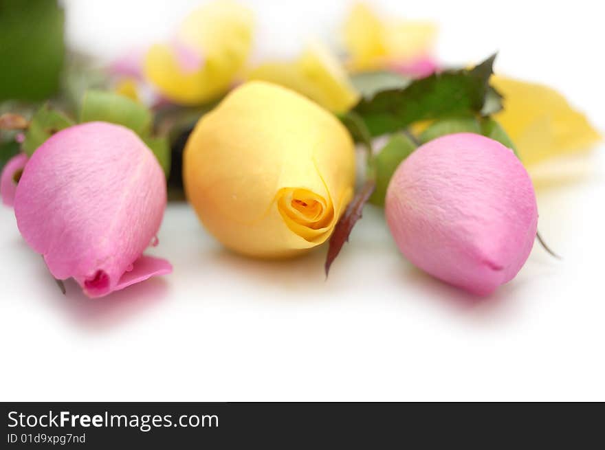 Tree roses: pink and yellow