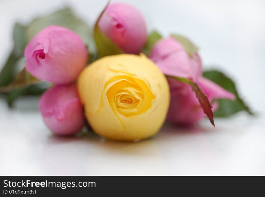 Bouquet of pink roses with yellow rose on focus. Bouquet of pink roses with yellow rose on focus