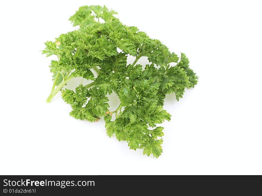 Photo with fresh parsley in the white