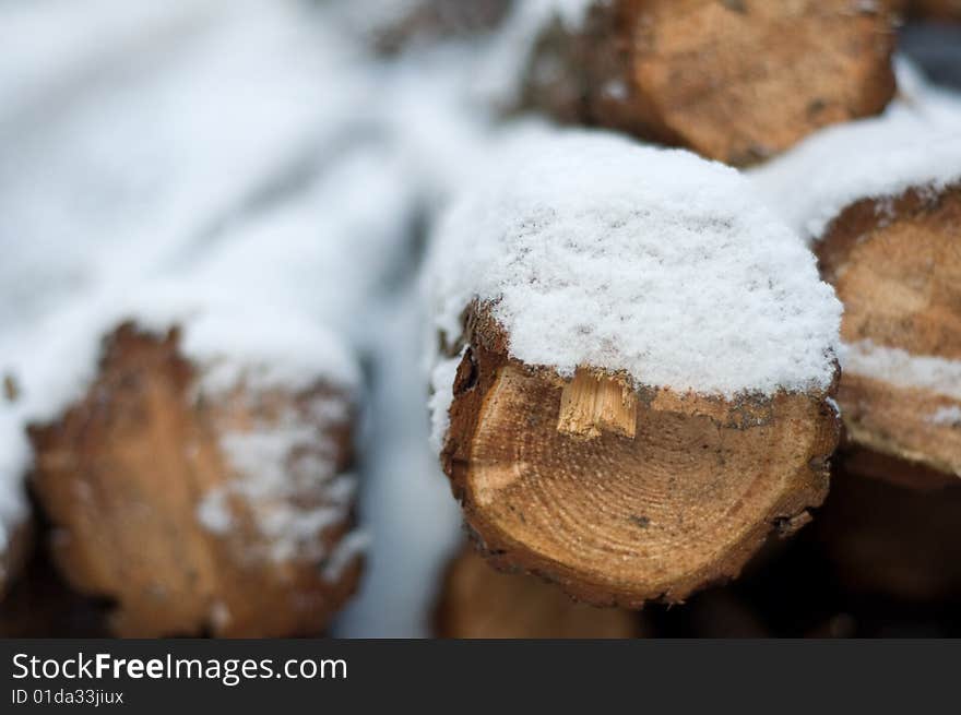 Trunks of the tree buried with the snow.