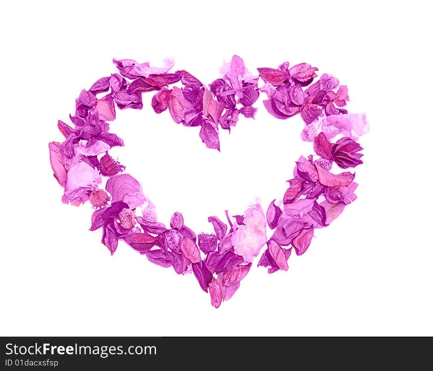 Heart made of violet petals. Heart made of violet petals