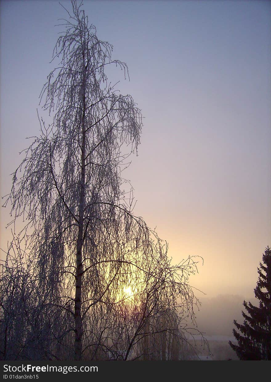 Misty Sunrise