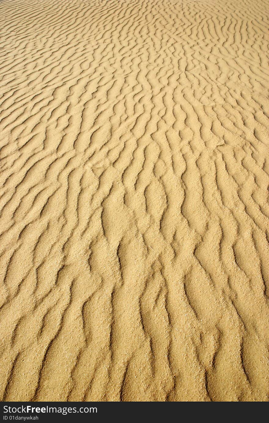 Texture of dune near the sea. Texture of dune near the sea