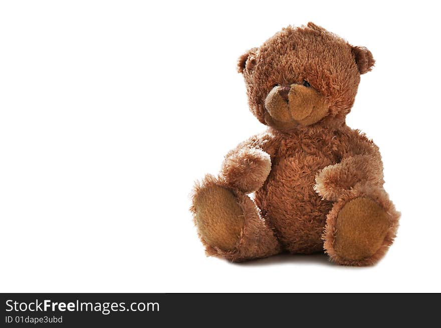 Teddy bear on white background. Teddy bear on white background