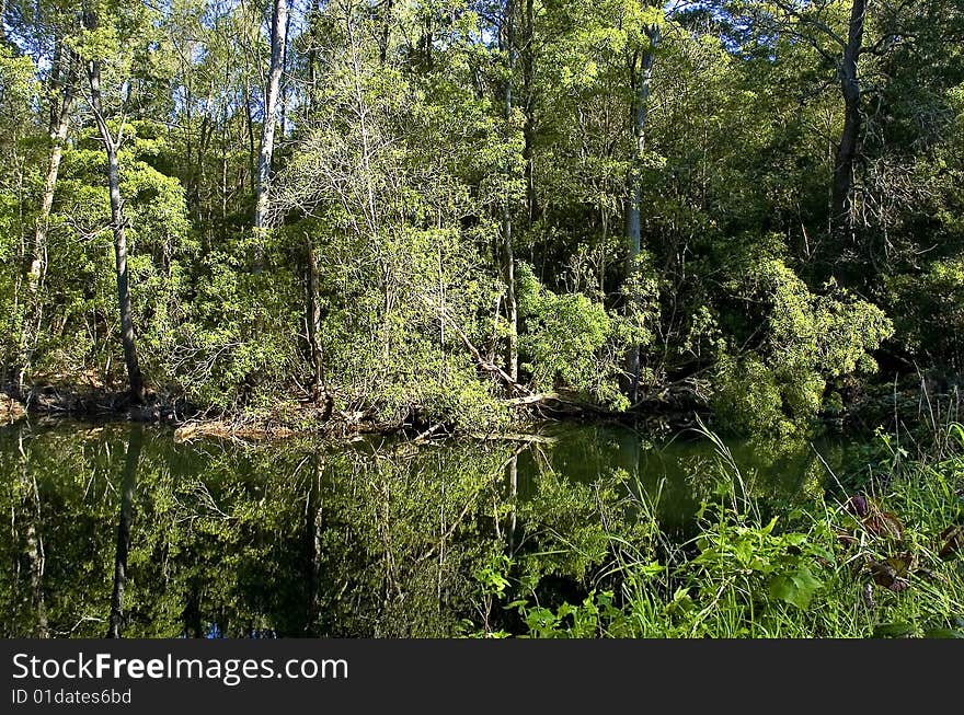 Lake with reflections in Sintra, Portugal. Lake with reflections in Sintra, Portugal