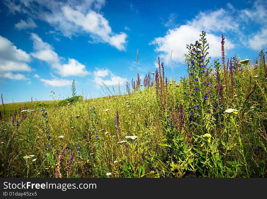 Cloudy sky and grass