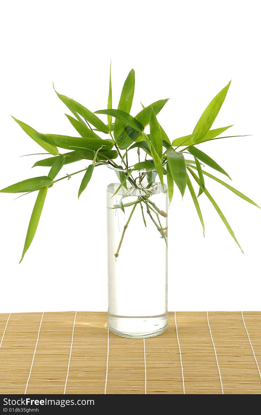 Green bamboo in Vase on mat