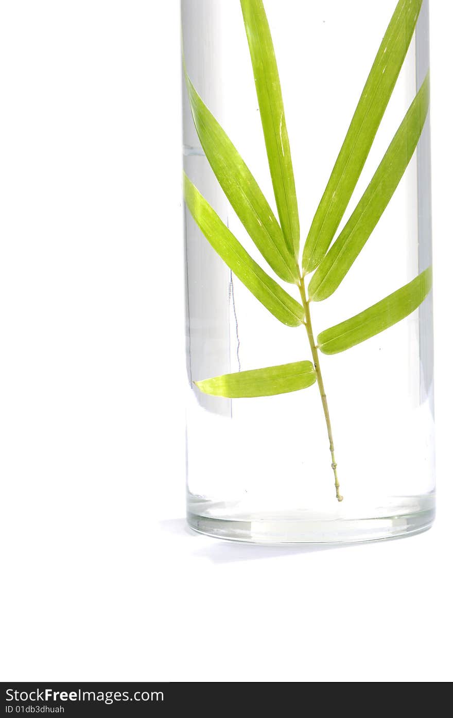 Green bamboo in Vase on mat