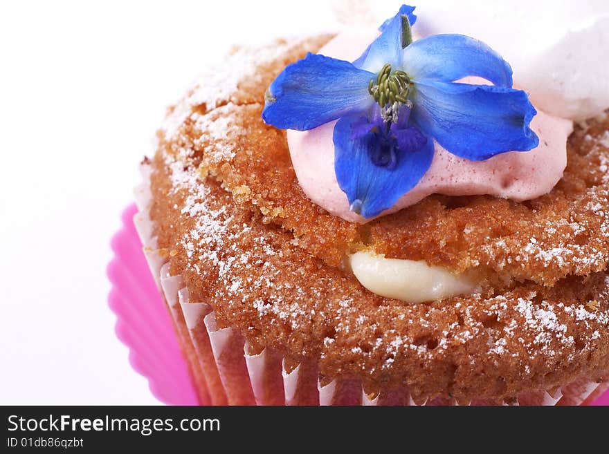 Miniature cupcake filled with lemon cream and decorated with meringue and blue flower on white background. Miniature cupcake filled with lemon cream and decorated with meringue and blue flower on white background